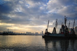 00DSC_0701