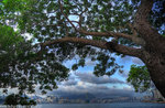 00DSC_9055_