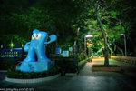 00DSC_9796_