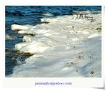 Alone in the Snow