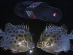 20060521141