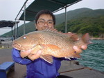 dsc00404