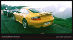 Carrera Turbo VS Boxer S
