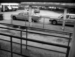 IMG_8653