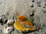 IMG_8702