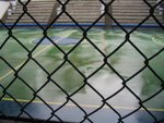 IMG_2713