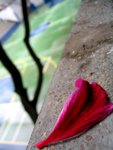 IMG_2719