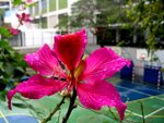 IMG_2720
