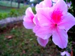IMG_4825