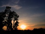 IMG_0177