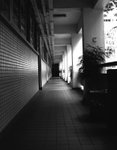 DSC_7611