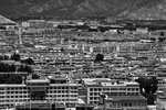 bw009