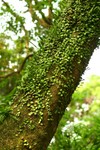Img_1646