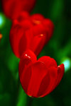 IMG_4500