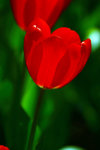 IMG_4501