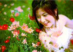 033a copy