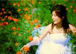 034a copy