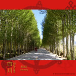 �V�׷��ؼШȤB�i�o�I
