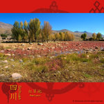 �p�B�̿ҿҤ���Ĩ����Z��աA�H���ڭ̷|�������o�L�̡A�@����ۧڭ̪��ܧڭ̦^�쨮�l�̡A�ܥi�ȡC