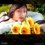 yuki_1774