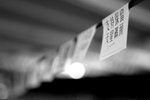 _DSC0517