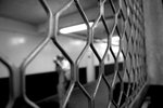_DSC0527