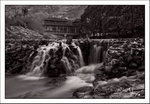 Guizhou_101109_MG_7361