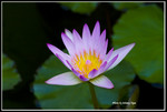 IMG_0863