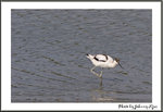 �n�ͳ�291105_MG_0740
