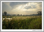 061223_NSW_J7F_2888