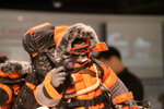 IMG_7944_12800