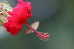 IMG_5866