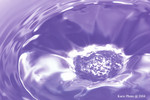 d083811