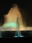 IMG_5559