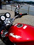 IMG_9005a