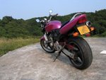 791_9151a