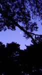 IMG_1406a