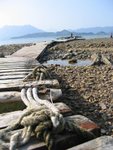 IMG_9054