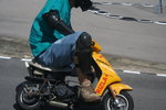 IMG_0403