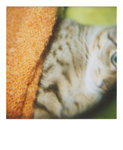 bubu polaroid 019