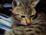 DSCF0021