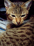 DSCF0022