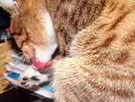 DSCF0026