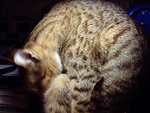 DSCF0030