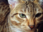 DSCF0033