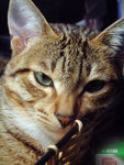 DSCF0034