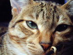 DSCF0035
