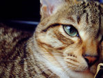 DSCF0036