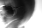 DSCN2938