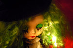 DSCN5245